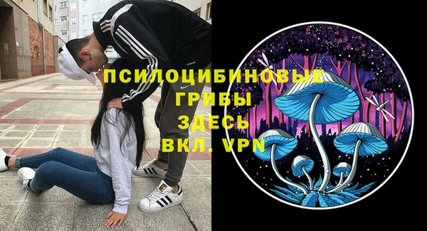 стафф Навашино