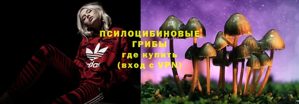 стафф Навашино