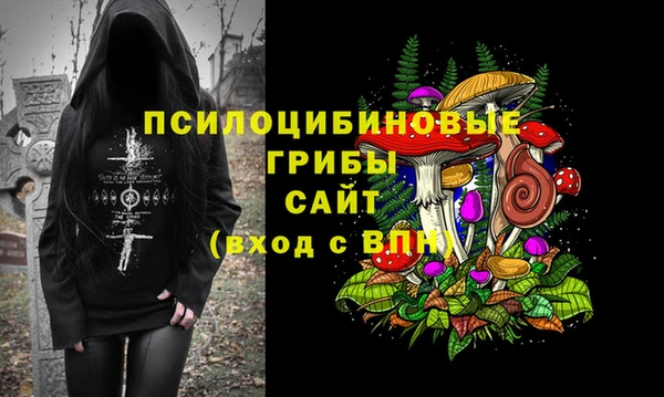стафф Навашино