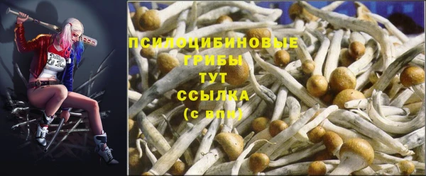 стафф Навашино